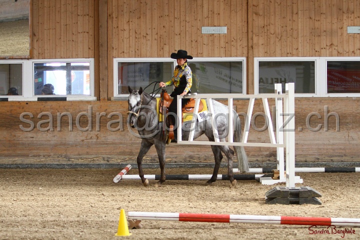 26-ApHC GT_241.jpg